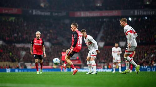 Bet King Play: Master Royal Betting Strategies